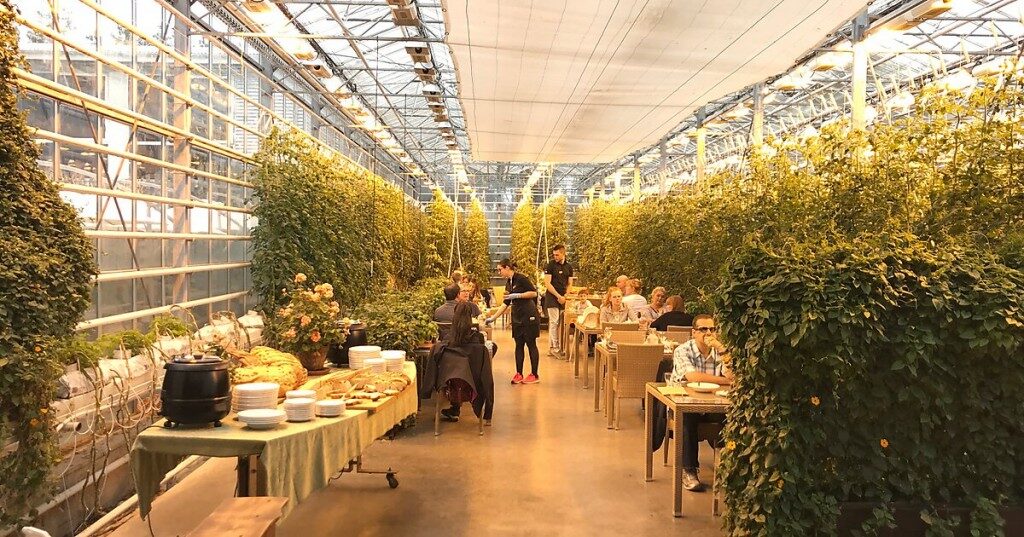 Friðheimar tomato farm restaurant